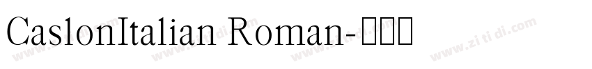 CaslonItalian Roman字体转换